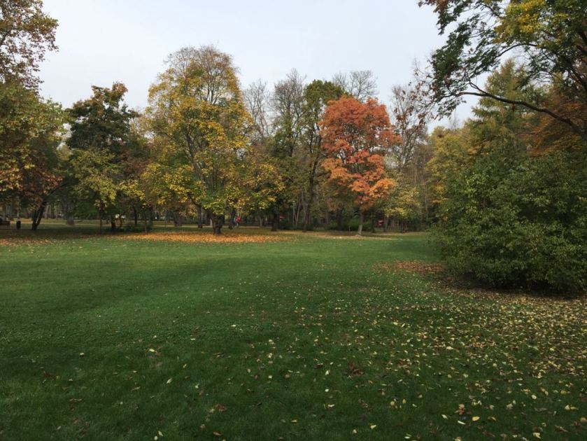 WhatsApp Image 2017-10-23 at 08.44.23