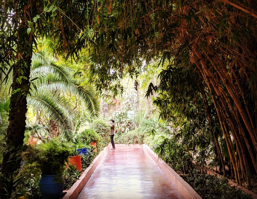 2018-01-01-PHOTO-00000808