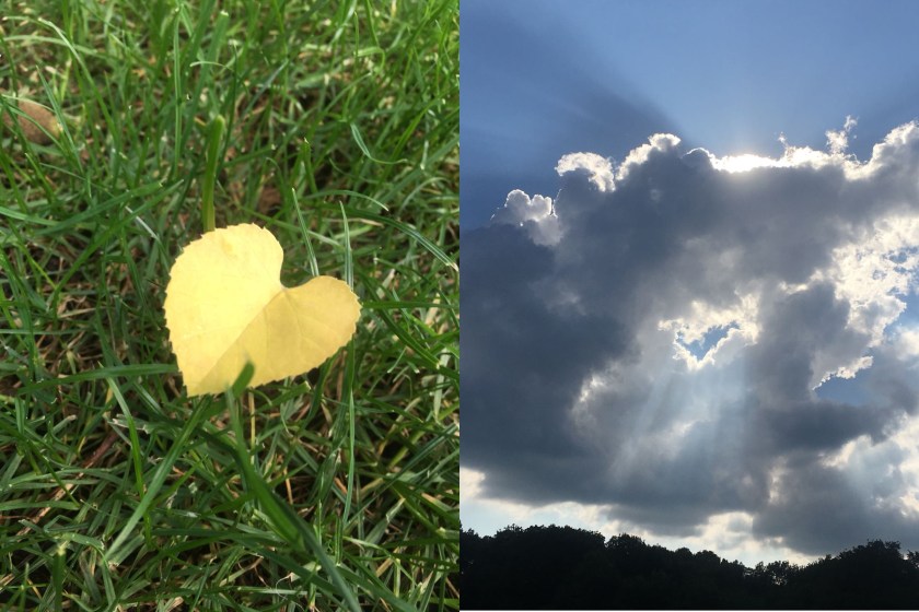 WhatsApp Image 2018-06-02 at 10.16.26 combined