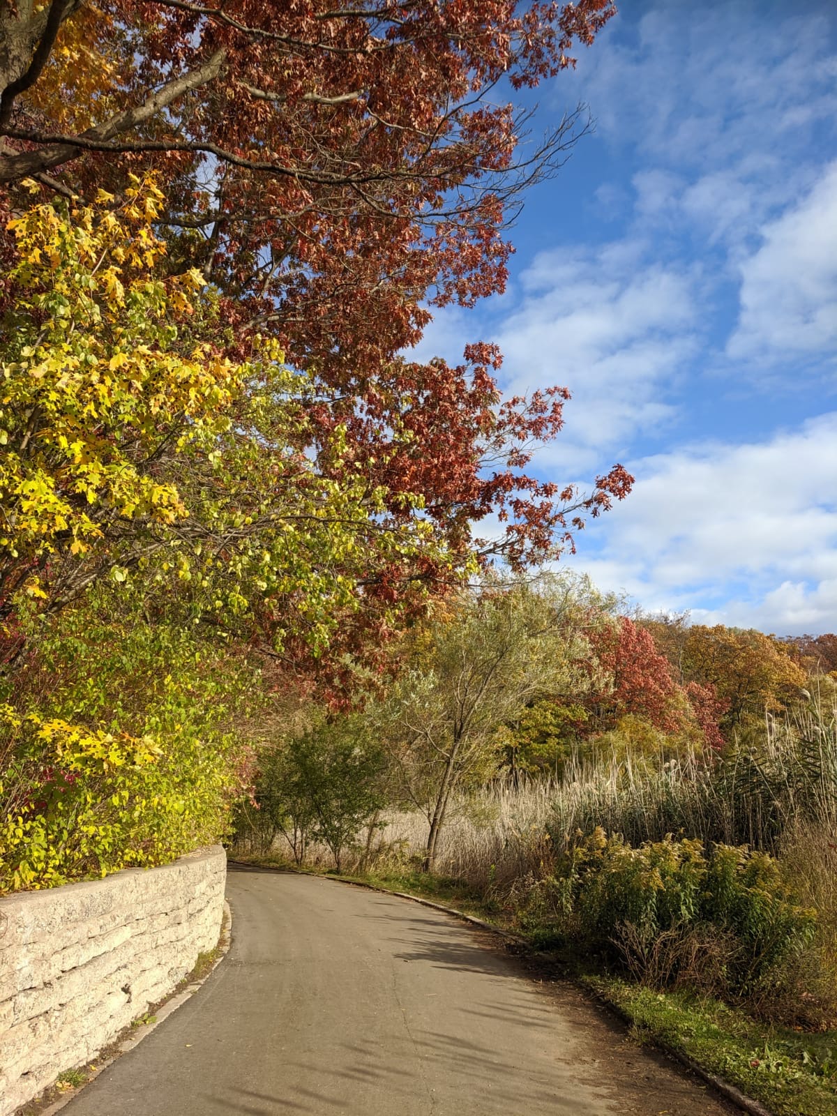 e7a0bead-6abc-495a-8545-b9eee1cc3c81