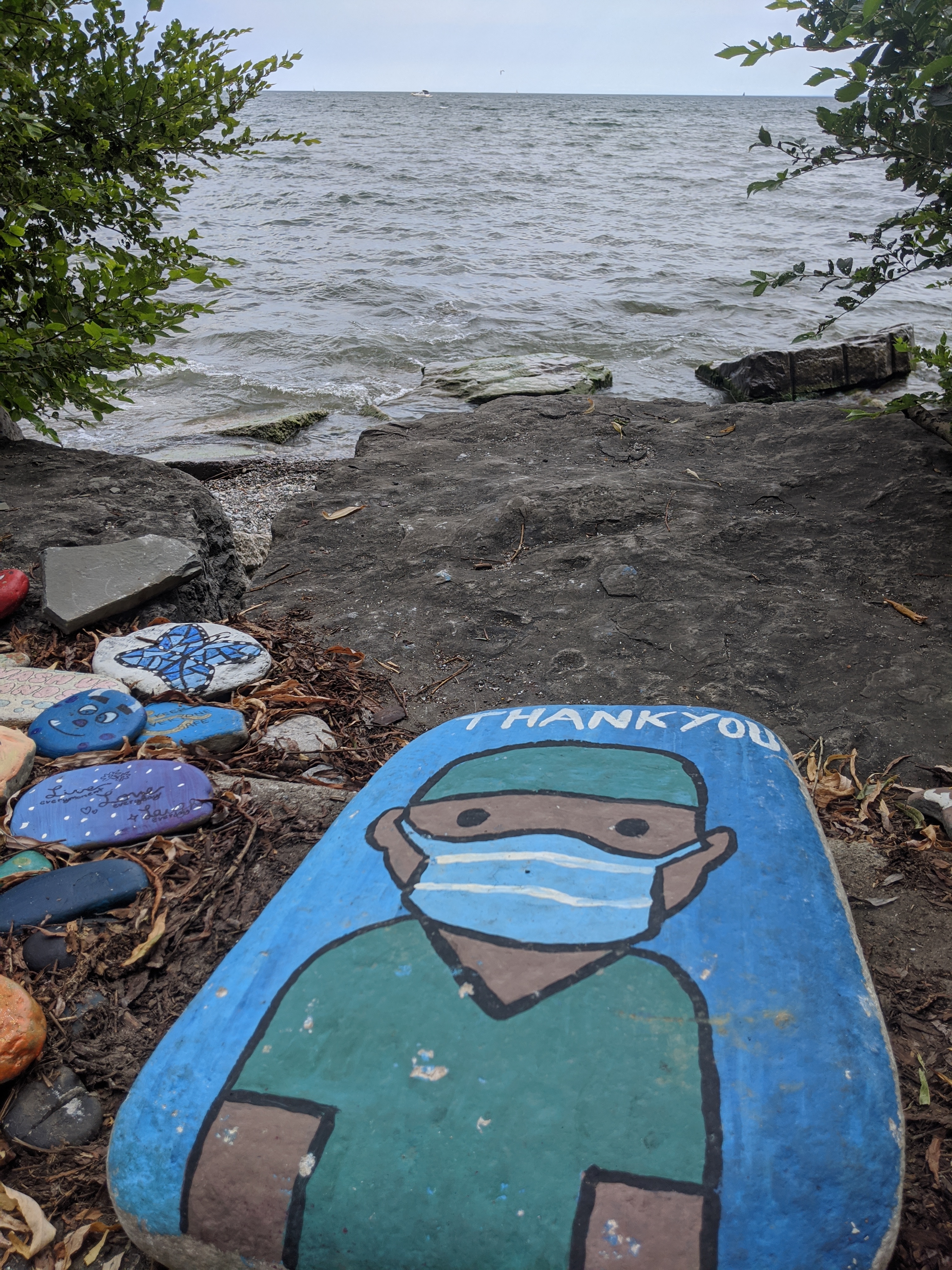 MVIMG_20200809_155332